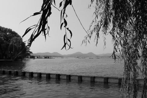 Lake light overlapping dreams 4