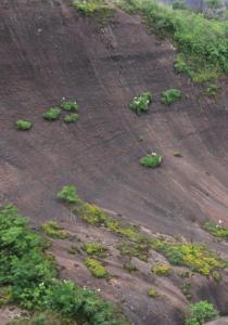 Cuiran Mountain Range 19