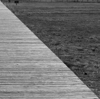 Wilderness leads the way 1