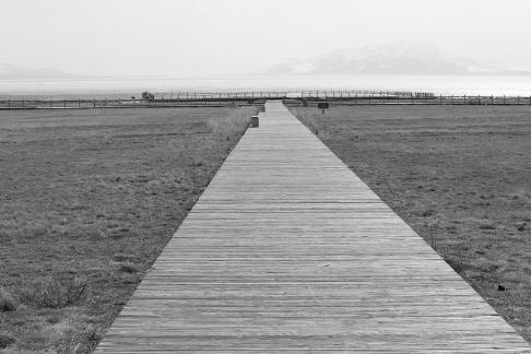 Wilderness leads the way 2