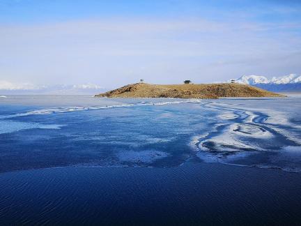 Sleeping Snow in Cold Pond 5