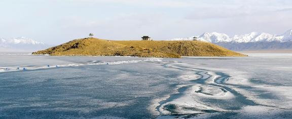 Sleeping Snow in Cold Pond 7