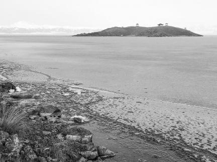 Sleeping Snow in Cold Pond 1