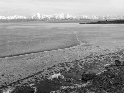 Sleeping Snow in Cold Pond 2