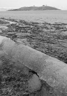 Sleeping Snow in Cold Pond 3