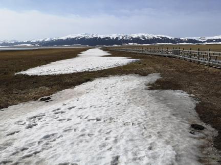 The snowfield remains white 1