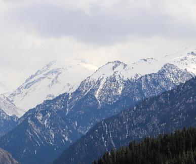 Celestial snow without dust 14