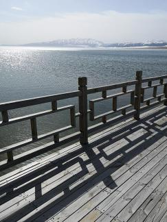 Under the Cloud Dome 6