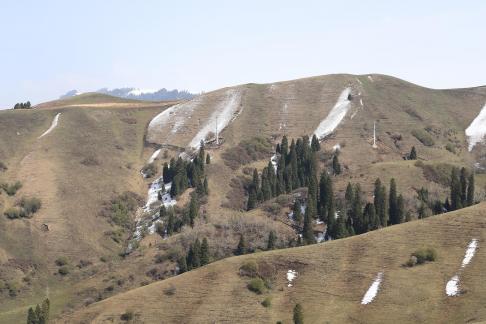 Snowy Ridge Pine Plains 26