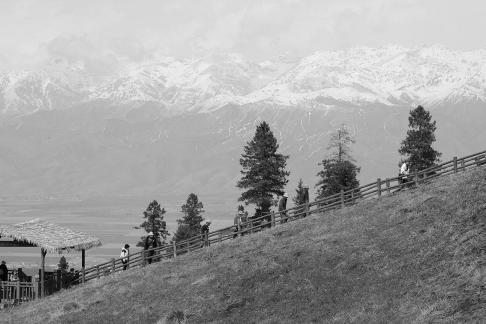 Snowy Ridge Pine Plains 23