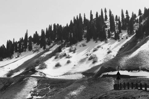 Snowy Ridge Pine Plains 24