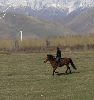 Grassland horse ranch 21