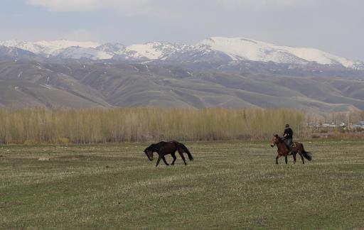 Grassland horse ranch 19