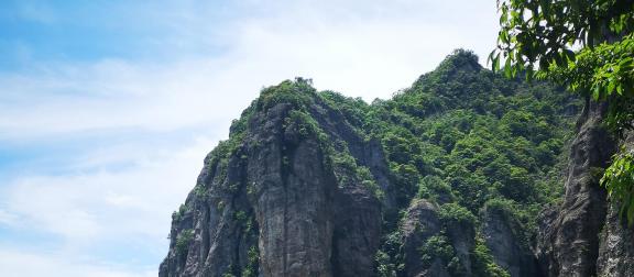 Green Wilderness and Tranquility 13