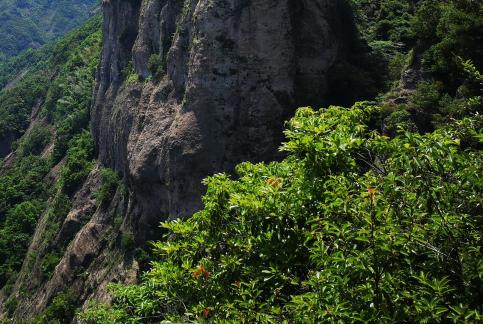 Green Wilderness and Tranquility 14