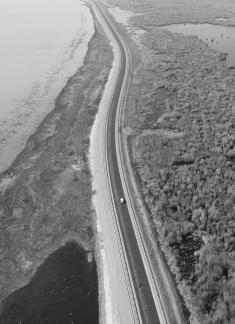 Ice Lake Reed Path Book 6