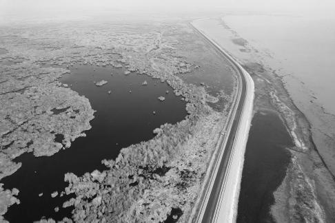 Ice Lake Reed Path Book 7