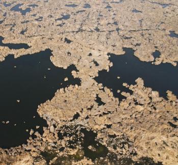 The vast expanse of reed marshes 9