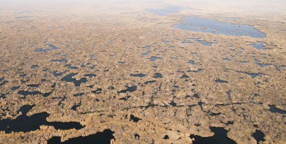 The vast expanse of reed marshes 10
