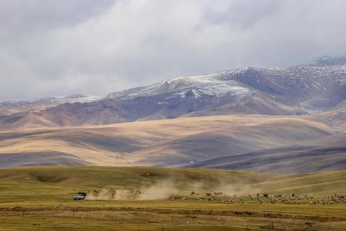 High mountain pasture 26