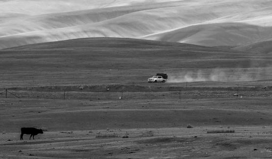 High mountain pasture 29