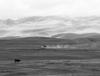 High mountain pasture 30