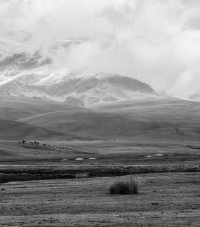 High mountain pasture 31