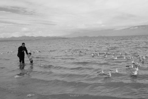 Dancing with seagulls 1