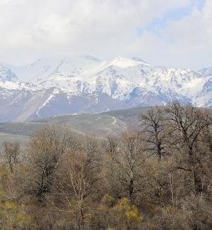 Autumn View of Cold Mountain 5