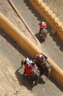 Each in their own way