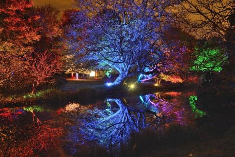 Enchanted Woodland Syon Park