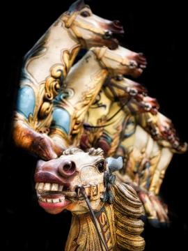 Carousel Horses