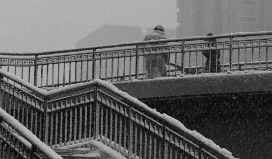 Snowflakes Dancing in the World 61