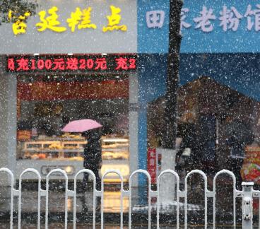 Snowflakes Dancing in the World 55