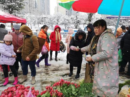 Snowy scenery 63