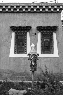 Image of Xizang 31