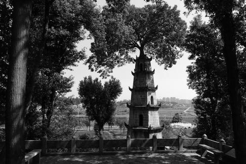 Tower and Tree 3