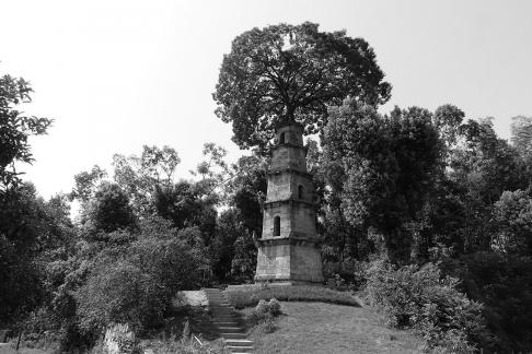 Tower and Tree 4