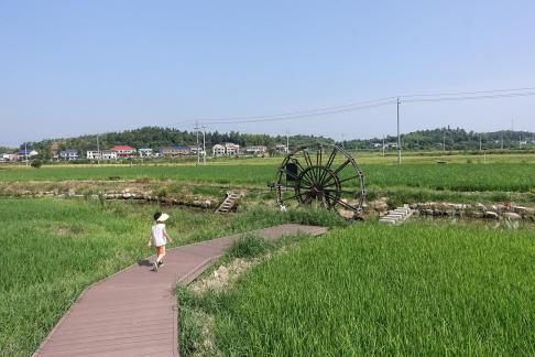 Green rural areas 6