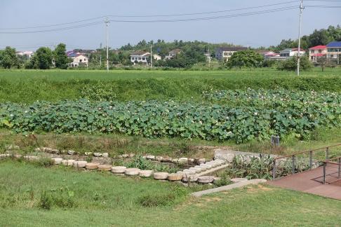 Green rural areas 1