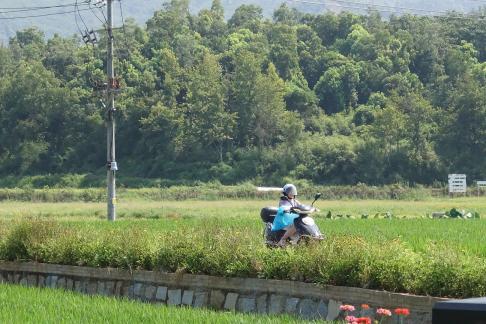 Green rural areas 3