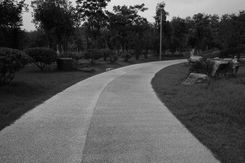 The Road of the City 5
