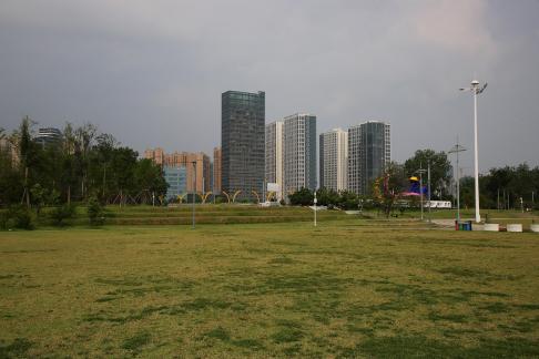 On the green grass 1