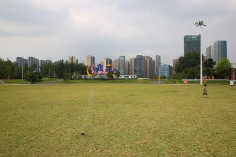 On the green grass 2