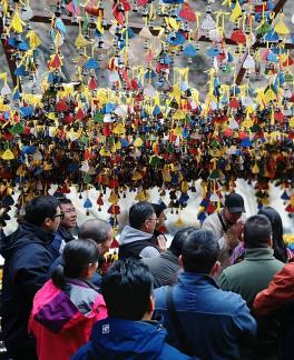 Wishes of sentient beings 3