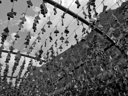 Wishes of sentient beings 1