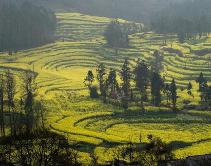 Spring scenery 6