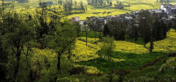 Spring scenery 7