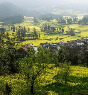 Spring scenery 8
