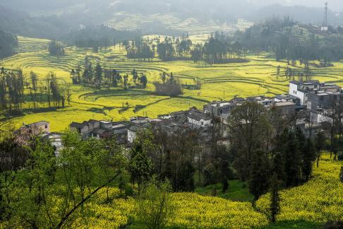 Spring scenery 9
